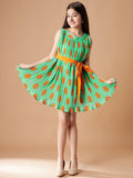 Pleated Georgette Fit  Flare Dress