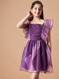 Girls Striped Flutter Sleeves Ruffled Organza Fit & Flare Dress